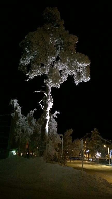 Kelotaehti Apartments Saariselka Dış mekan fotoğraf